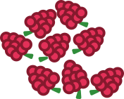 eight raspberries pic