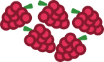 five raspberries pic