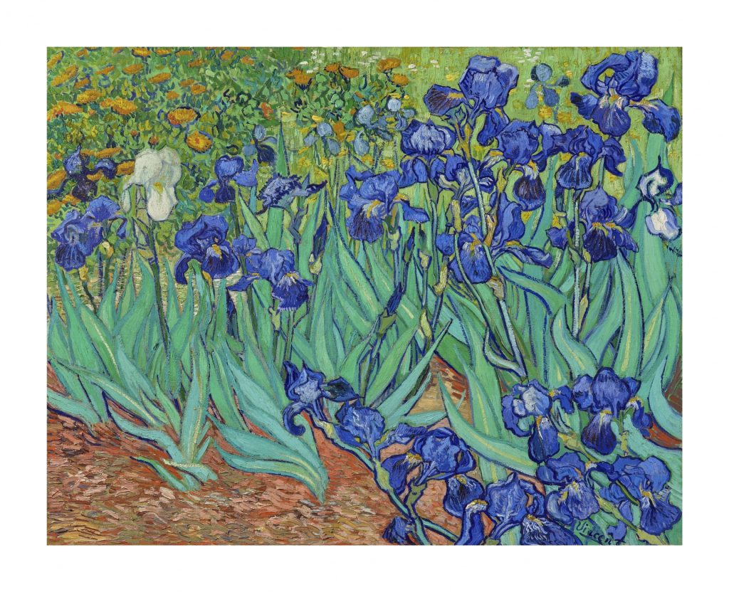 van-gogh-Irises