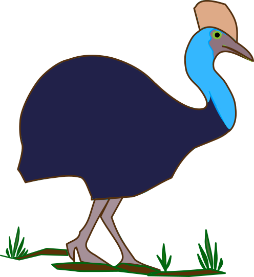 Cassowary