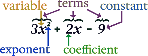 polynomial example